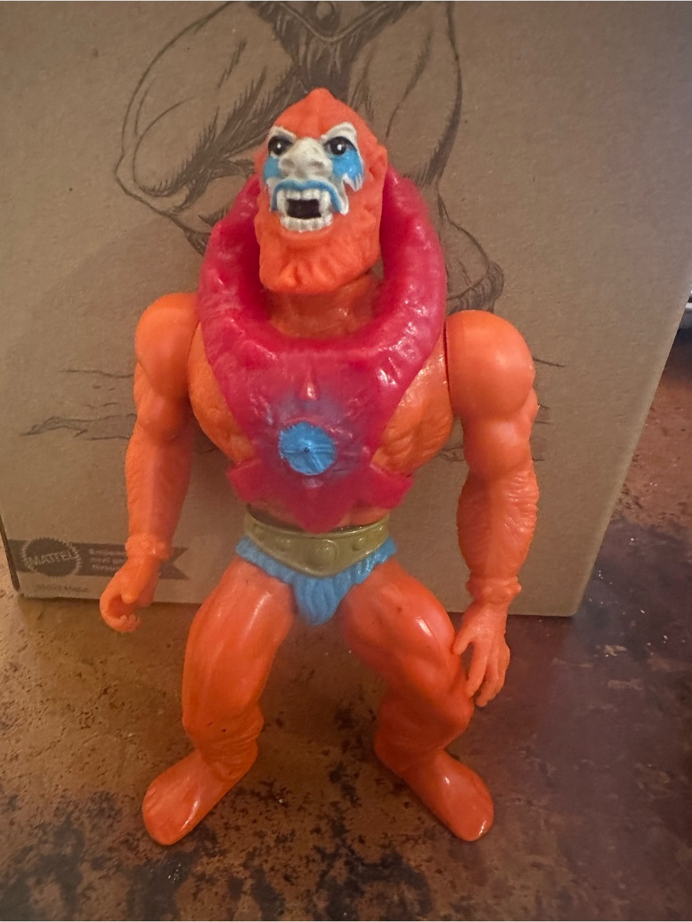 Motu - Picture 4 of 11